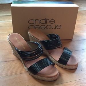 Andre Assous